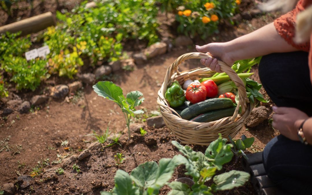 Green Thumb, Clean Earth: Mastering Organic Gardening
