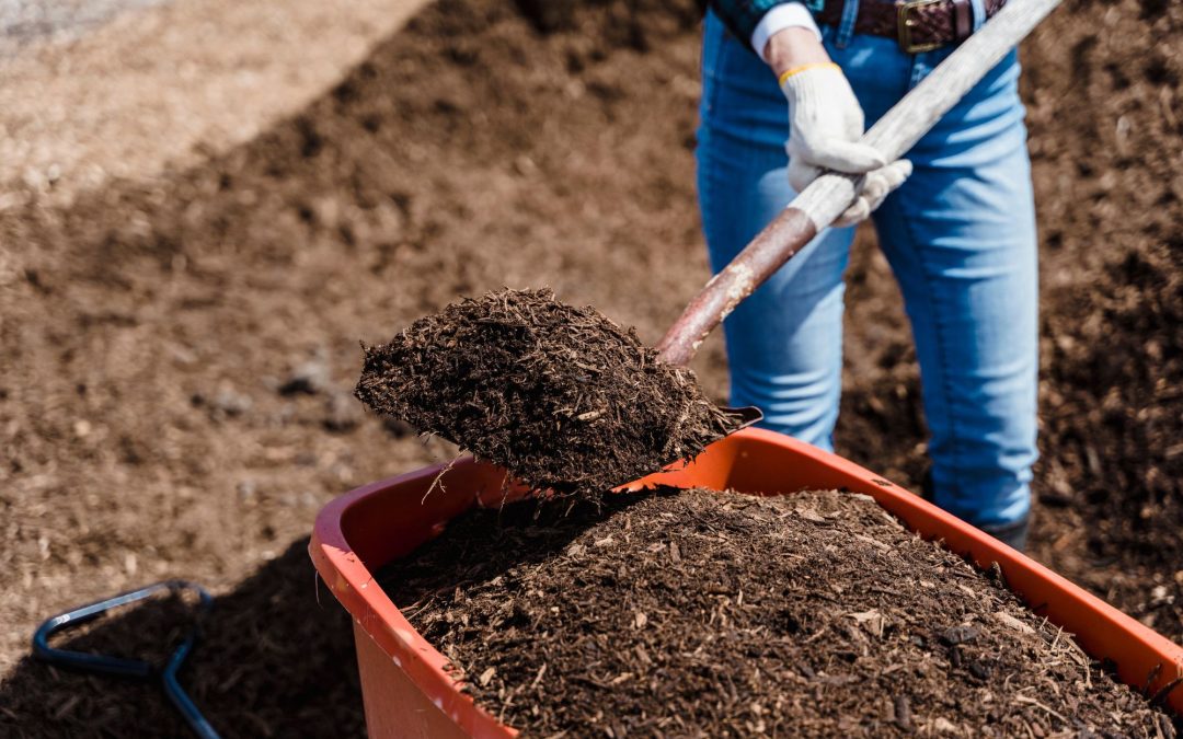 Turning Scraps into Gold: The Benefits and Basics of Composting